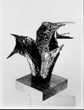 John Coll