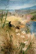 Waiting - Clare Cryan