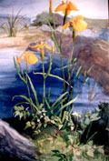 Yellow Flags - Clare Cryan