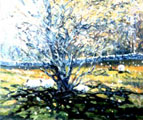 Sheep near Maam Cross - Paul Guilfoyle