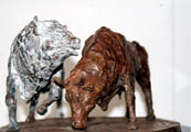 T&aacute;in Bulls - John Coll