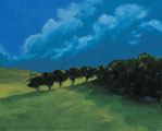 Rising Wind, Macha na mB&oacute; - Mick Flaherty