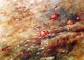 Autumnal Orchard - Phyllis Del Vecchio