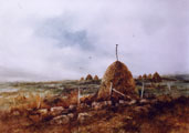 Haystacks - Phyllis Del Vecchio