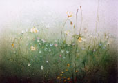 Midsummer - Phyllis Del Vecchio