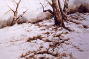 Winter Solstice - Phyllis Del Vecchio