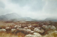 Forgotten Land - Phyllis Del Vecchio