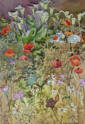 Compost Heap I - Kenneth Webb